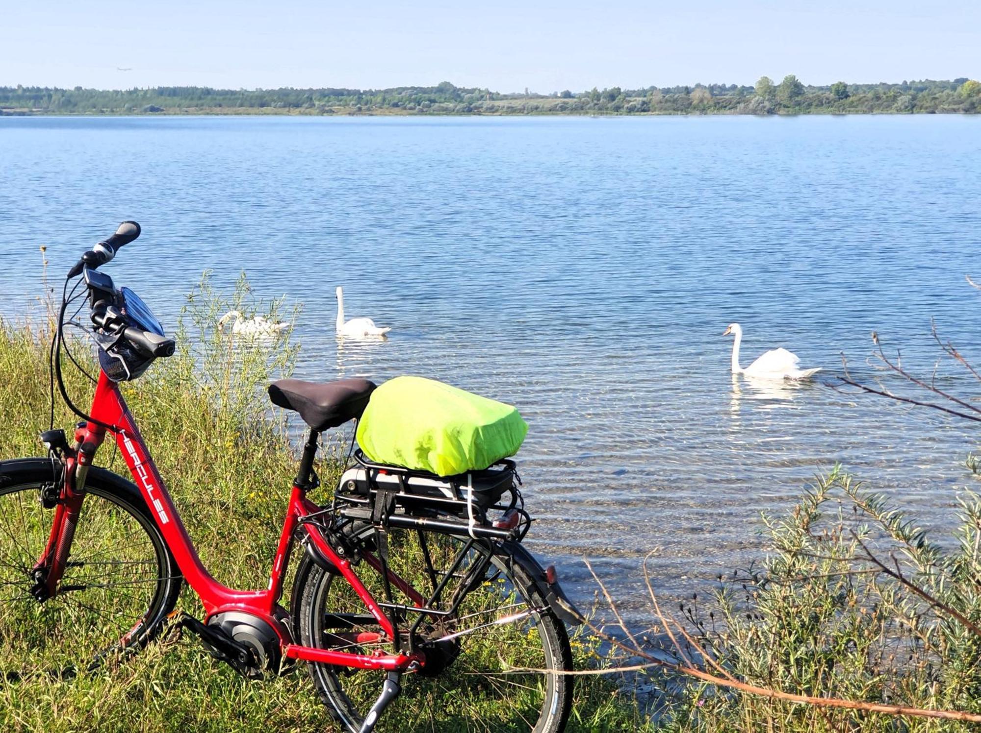 Hotel-Pension Gruene Linde Delitzsch Zewnętrze zdjęcie